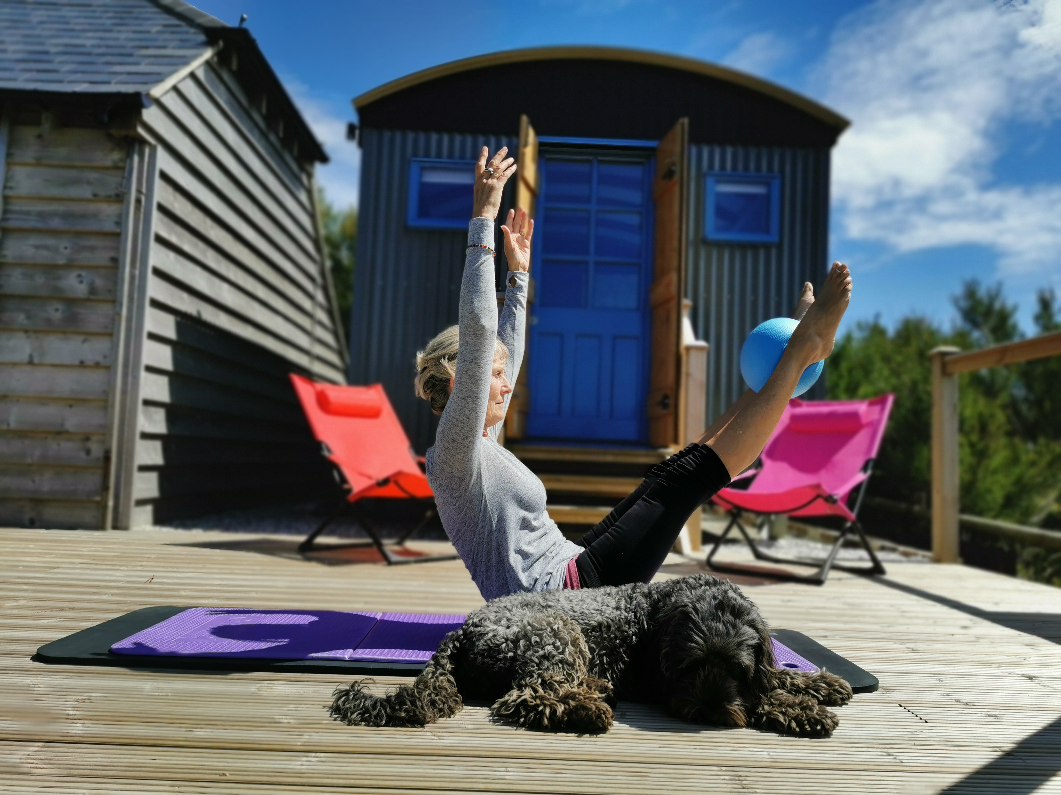 Shepherd's hut and a cockerpoo